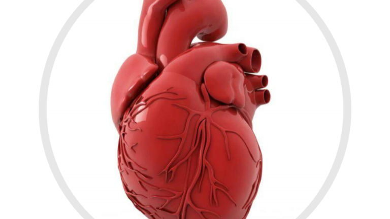 CARDIOGENIC SHOCK: PATHOPHYSIOLOGY